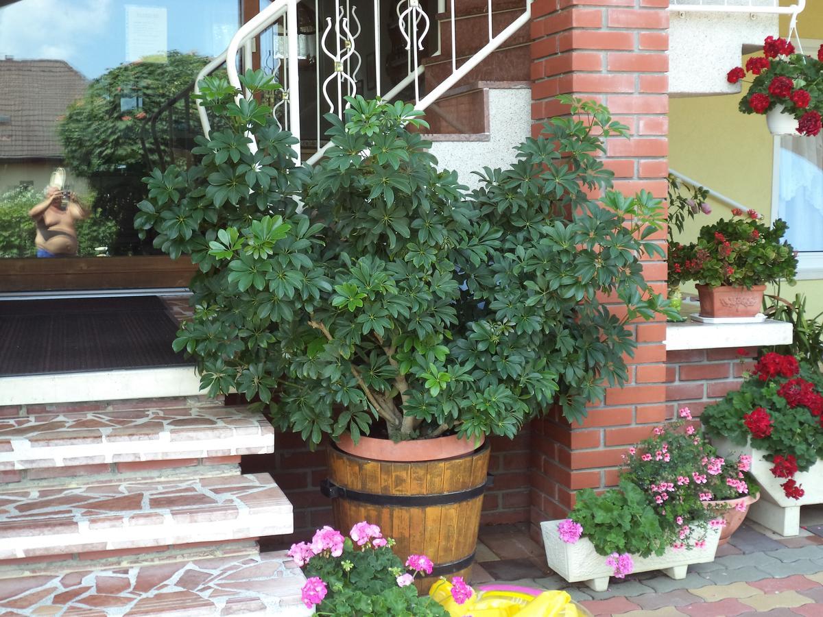 Hotel Holp Panzio Balatonföldvár Exterior foto
